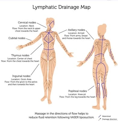 Understanding the Lymphatic System